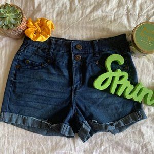 Aeropostale Denim Shorts